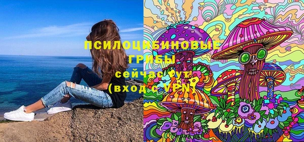 бутират Баксан