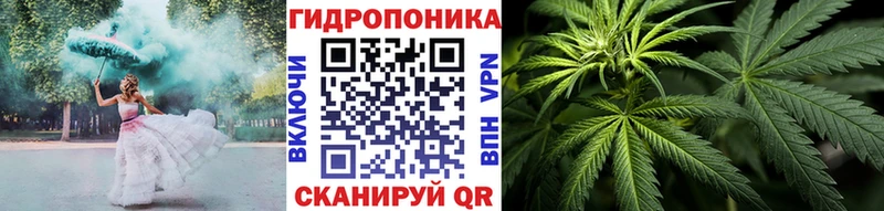 Марихуана SATIVA & INDICA  закладка  Щёлкино 